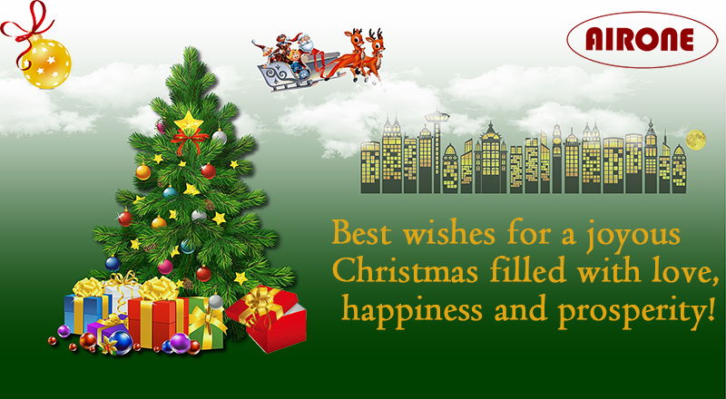 airone wish you merry christmas and happy new year800.jpg